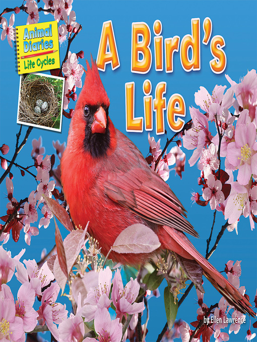 Ellen Lawrence创作的A Bird's Life作品的详细信息 - 可供借阅